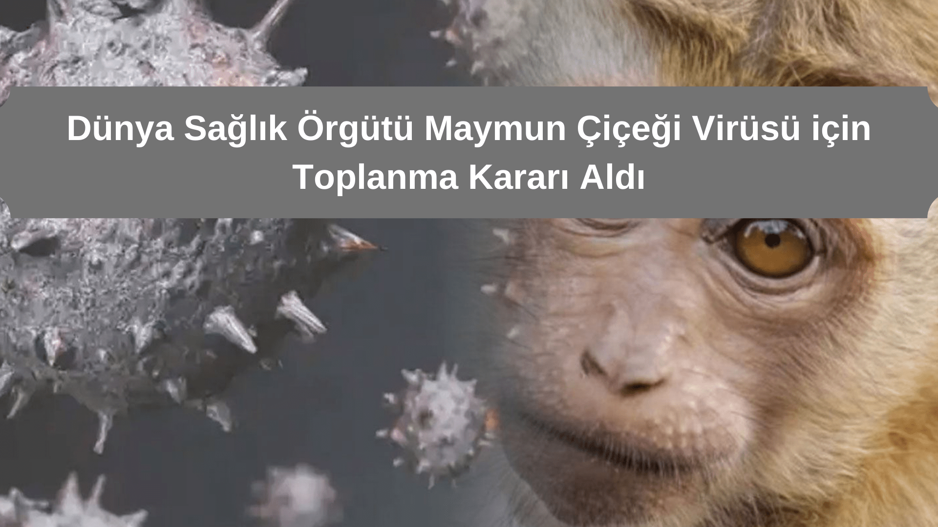 Dünya Sağlık Örgütü Maymun Çiçeği Virüsü için Toplanma Kararı Aldı